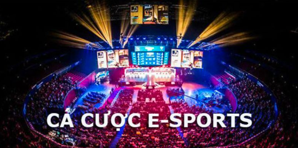 Cá cược esports là gì?