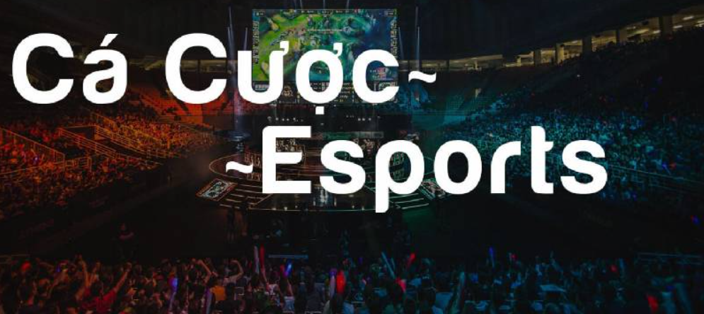 Các tựa game phổ biến nhất trong esports