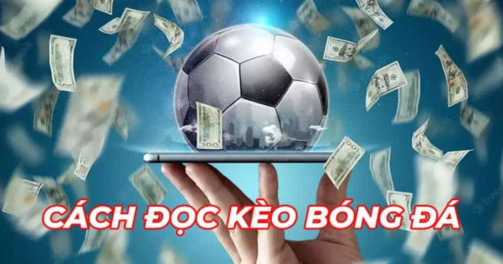 Cách xem Odds và Fix